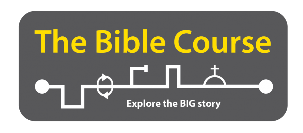 all saints lydiard millicent new the bible course bible in story form